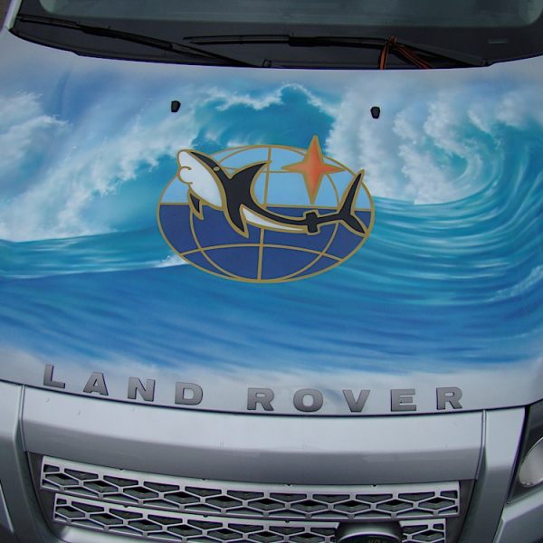 Аэрография на Land Rover - логотип