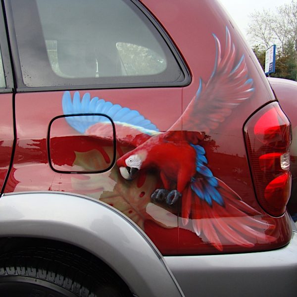 Рисунок попугаев на автомобиле